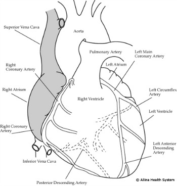 Your heart and heart failure