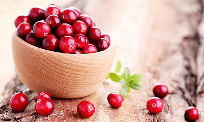 Our Cranberry Products are Made for Holiday Meals