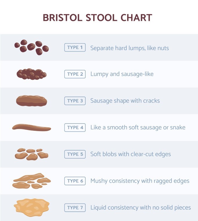 What Your Poop Is Telling You About Digestive Health