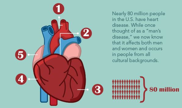 Diseased Human Heart Images
