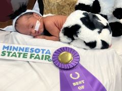 Fair Babies2